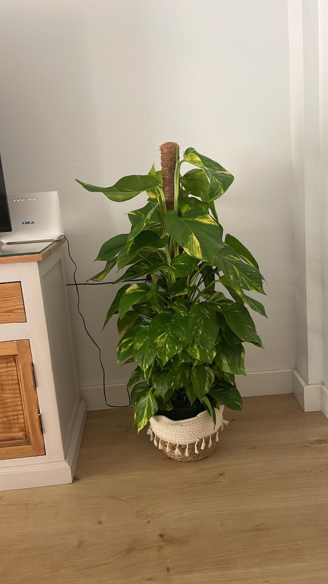 Exclusivo Apartamento Cerca De La Playa Malaga Luaran gambar